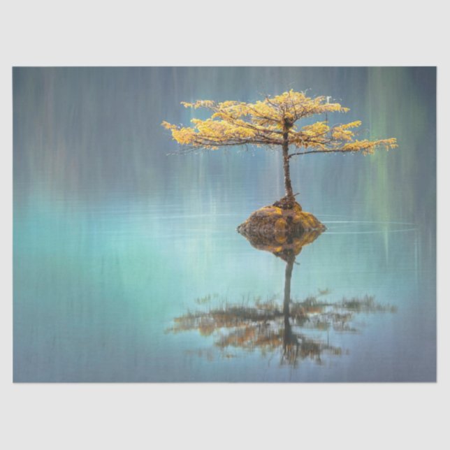 TISSUE PAPER: "TREE ON AN ISLAND"   TISSUE PAPER (Front)