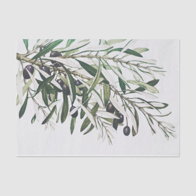 TISSUE PAPER : VINTAGE CHRISTMAS : OLIVE BRANCH (Front)