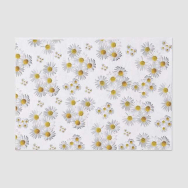 Tissue Paper White Daisy (Front)
