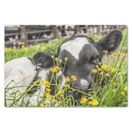 Tissue Paper with Image of Calf in Flowers