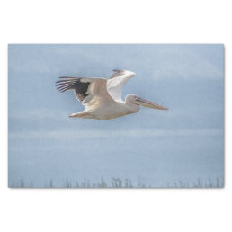 Tissue Paper with Image of Pelican in Flight