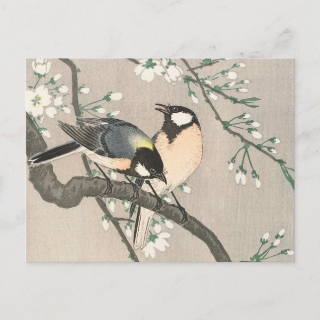 Tit on Cherry Branch Painting by Ohara Koson Postcard (Front)