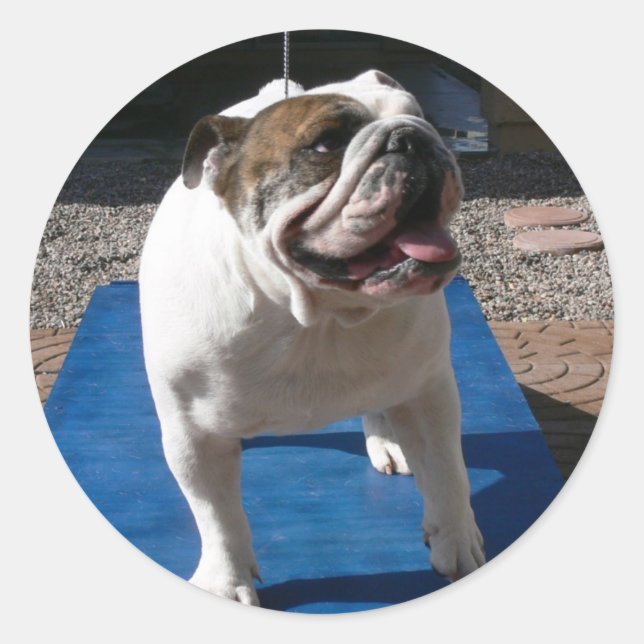 Titan sticker (Front)