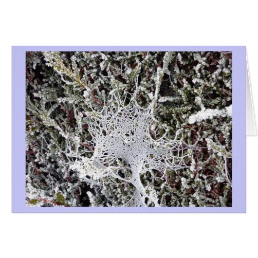 Titania's Speech (Front Horizontal)