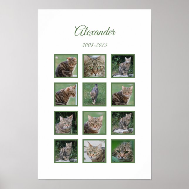 Title:  Customizable Pet Memorial Poster (Front)