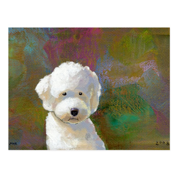 Titled I'm Thinking About It   adorable white dog Post Cards