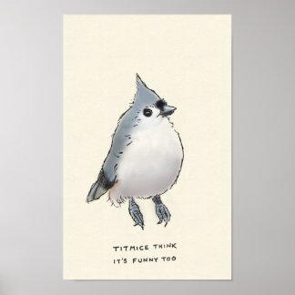 titmice trivia poster
