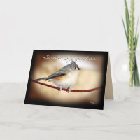 Titmouse 8903- customize any occasion