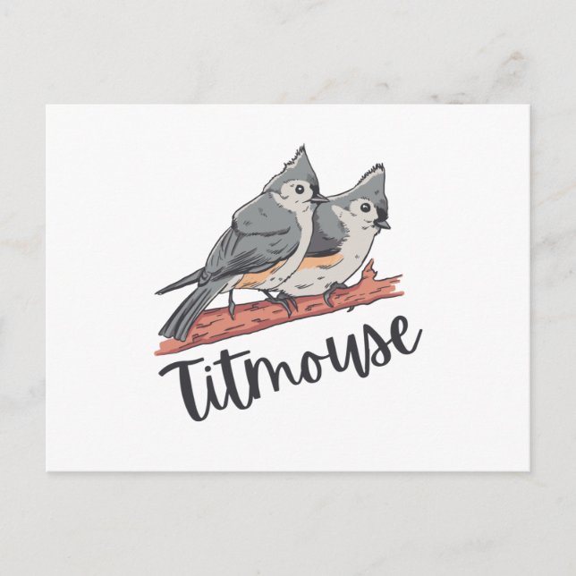 Titmouse Tufted Titmice Cute Bird Gift Postcard (Front)
