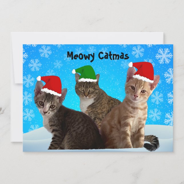 Tito, Taz, and Annie Wishing You A Meowy Christmas Holiday Card (Front)