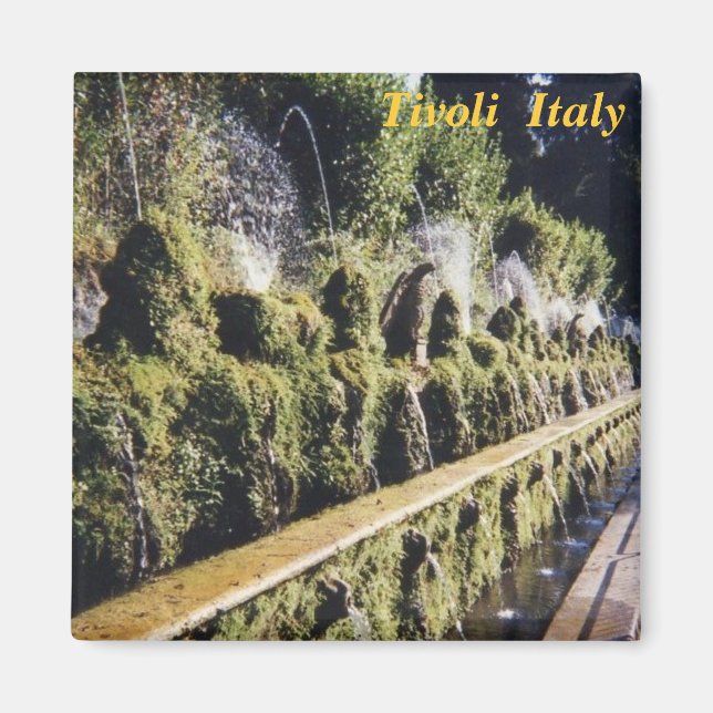 tivoli fridge magnet (Front)