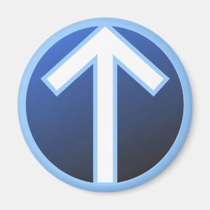 Tiwaz Teiwaz Tyr Warrior Rune Magnet