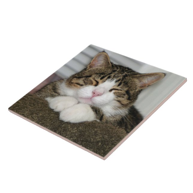 TJ CERAMIC TILE (Side)