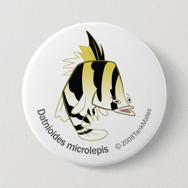 TM-12-Dathioides microlepis Pinback Button (Front)
