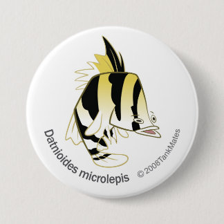 TM-12-Dathioides microlepis Pinback Button