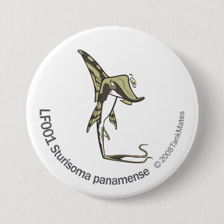 TM-14-LF001 Sturisoma panamense Pinback Button
