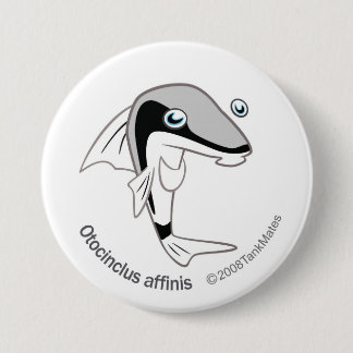 TM-15-Otacinclus affinis Button