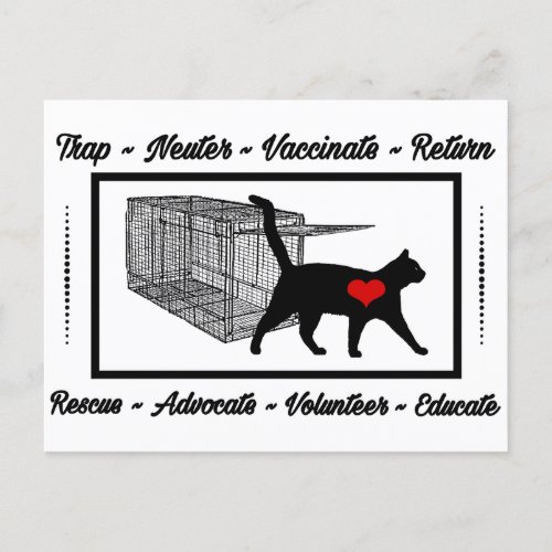 TNR Cat Rescue Trap Neuter Return Adopt Volunteer  Postcard