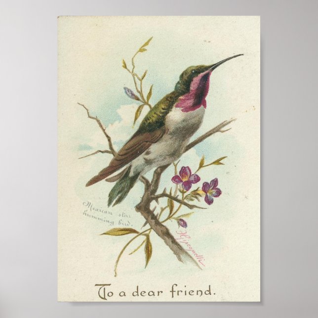 To a dear friend, Vintage Hummingbird Poster (Front)