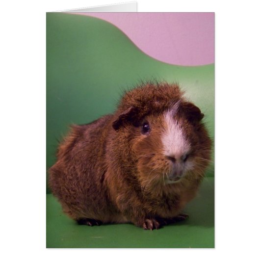 To a distinguished gentleman (Front)