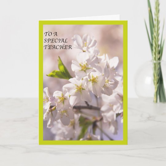 to-a-special-teacher-white-flowers-blossoms-card-zazzle