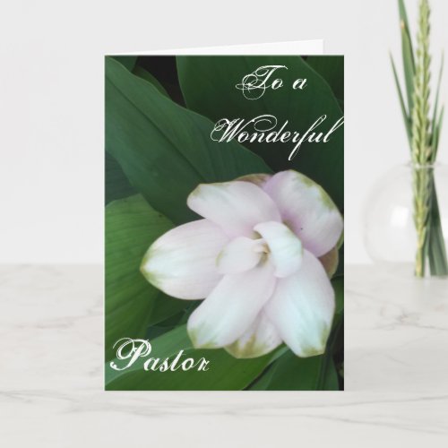 To A Wonderful Pastor Thank You Card