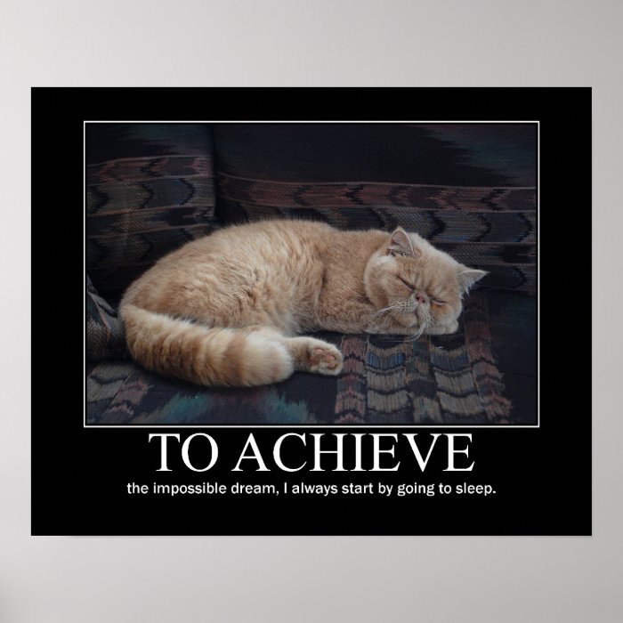 To  Achieve the Impossible Dream Cat Artwork Poster