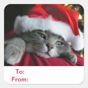 To and From Gift Tags Cat Sticker