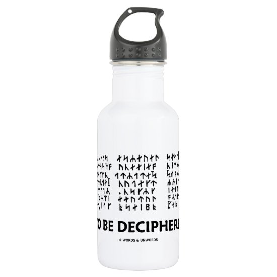 To Be Deciphered (Jules Verne Runic Cryptogram) Stainless Steel Water Bottle