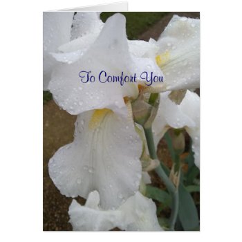To Comfort You by heavenly_sonshine at Zazzle