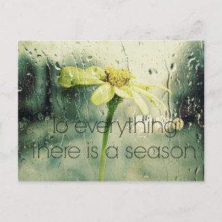 To everything a Season Rain and Flower Window Postcard