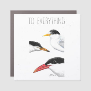 To Everything Tern, Tern, Tern Car Magnet