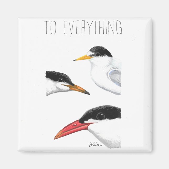 To Everything Tern, Tern, Tern Magnet (Front)