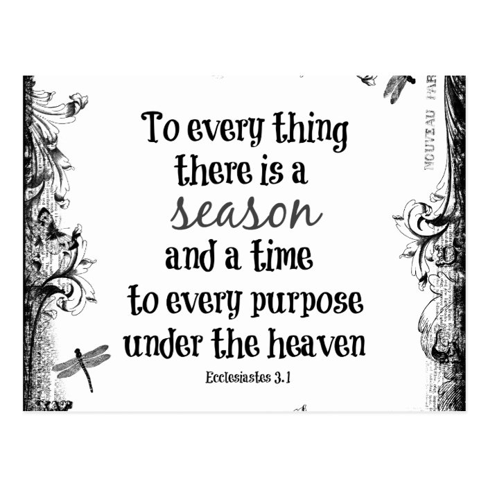 To everything there is a season bible verse postcard zazzle
