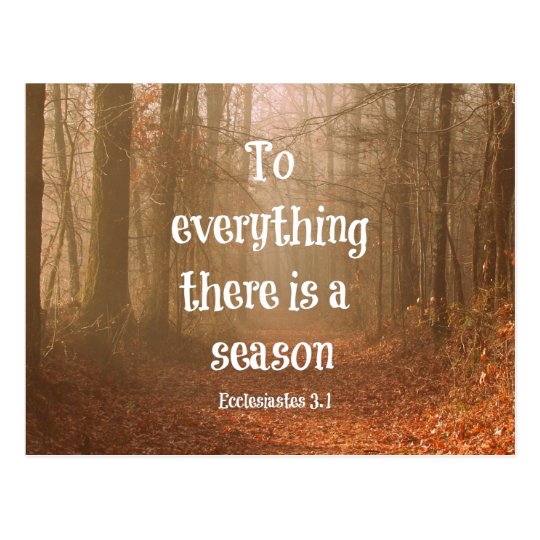 List 102+ Pictures for everything there is a season bible verse Full HD, 2k, 4k