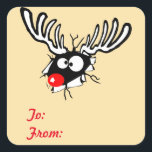 To:/From: Crazy Red Nosed Reindeer Gift Tag<br><div class="desc">A gift tag sticker. A quirky cartoon illustration of a black and white christmas reindeer,  with a bright red nose. Breaking his way through some wrapping paper,  looking crazy and bewildered. Cute and funny.</div>