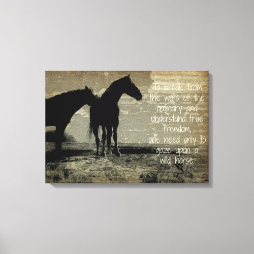 To Gaze at a Wild Horse Canvas Print