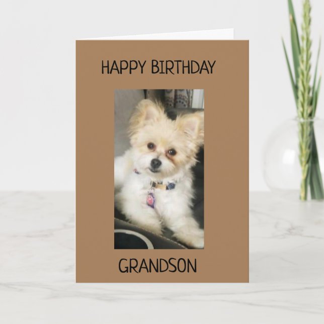 TO GRANDSON ON YOUR BIRTHDAY! CARD (Front)