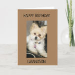TO GRANDSON ON YOUR BIRTHDAY! CARD<br><div class="desc">THANK U FOR STOPPING BY ONE OF MY EIGHT STORES!!!!</div>