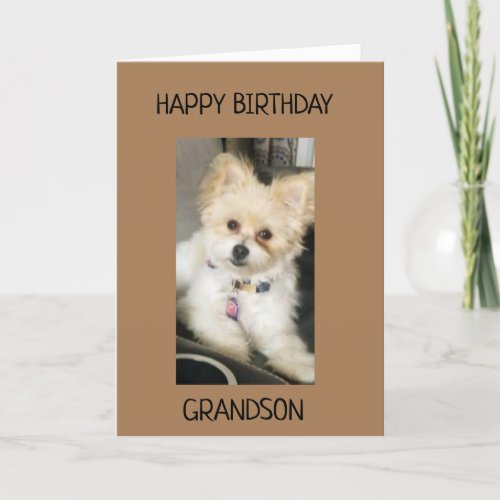 TO GRANDSON ON YOUR BIRTHDAY CARD