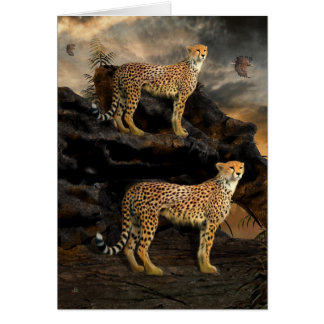 To Hunt in Pairs - Cheetahs Cards