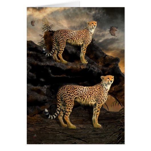To Hunt in Pairs - Cheetahs Cards (Front)