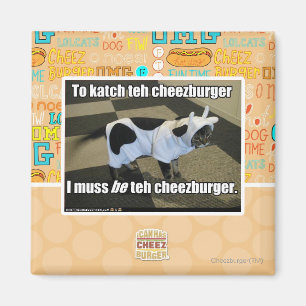 To katch teh cheezburger magnet