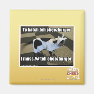 To katch teh cheezburger magnet