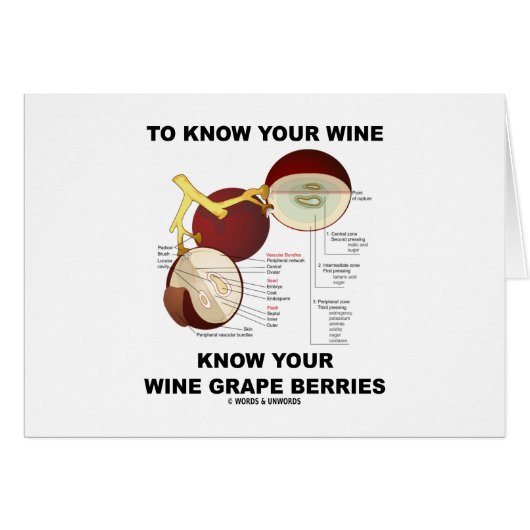 To Know Your Wine Know Your Wine Grape Berries (Front Horizontal)
