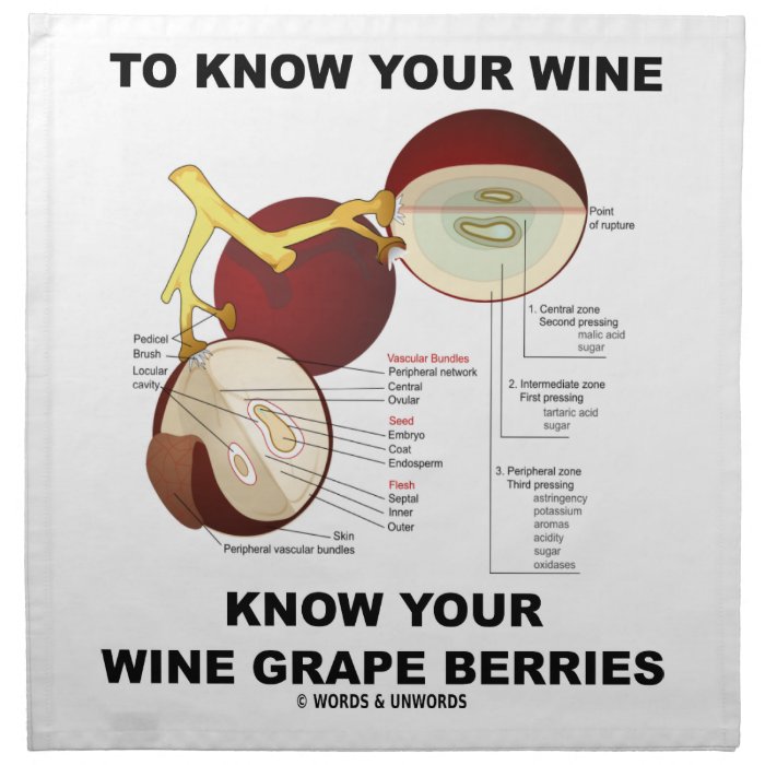 To Know Your Wine Know Your Wine Grape Berries Napkins