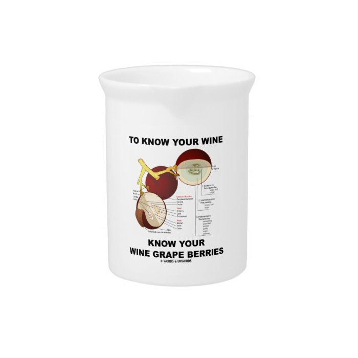 To Know Your Wine Know Your Wine Grape Berries Drink Pitcher