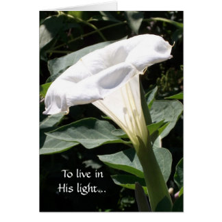To live in His light Cards