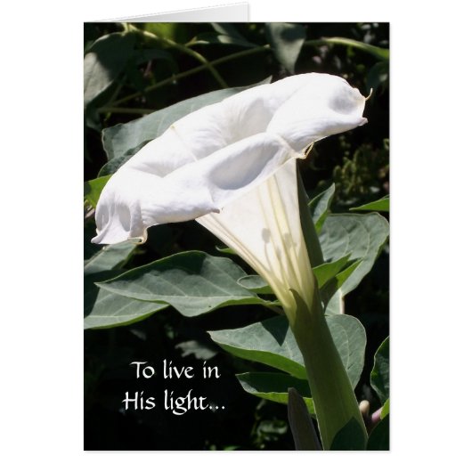 To live in His light Cards (Front)