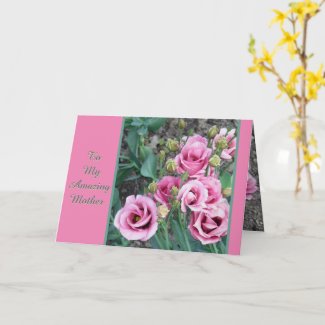  TO MY AMAZING MOTHER/PINK ROSES